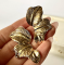 Сережки Tierra Luna “Gilded Fern”